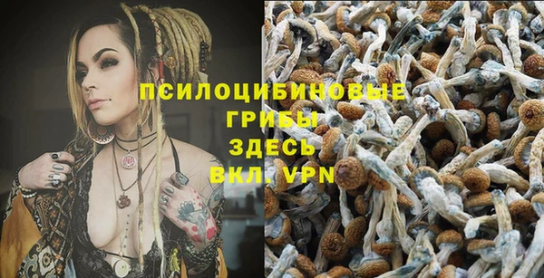 MDMA Premium VHQ Волоколамск